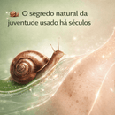 Creme de Caracol Wokali – Regeneração Profunda