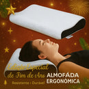 Travesseiro BioErgo – Alinhamento Saudável & Sono Profundo - Brilho Shop